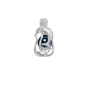 Dolphin w/Clam Shell Cage Pendant